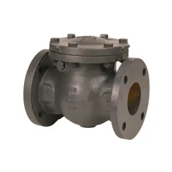 Valvula de retencion de brida 4