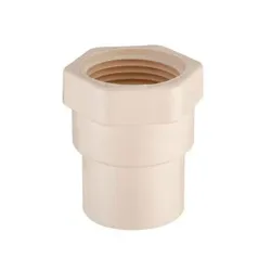 Adapter cpvc hembra de 1/2 