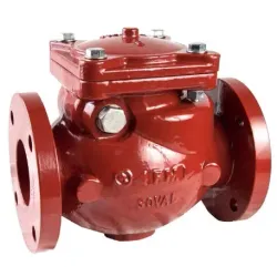 Valvula de retencion horizantal 12 brida 