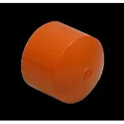 Caps cpvc 2 blaze master 