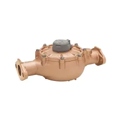 Medidor de agua 2 bronce brida badger