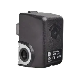 Interruptor de presion para bombas 30/50