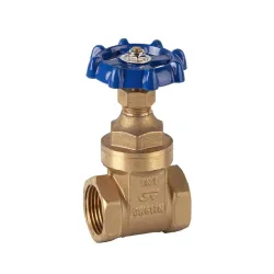 Valvula de compuerta de 21/2 genebre